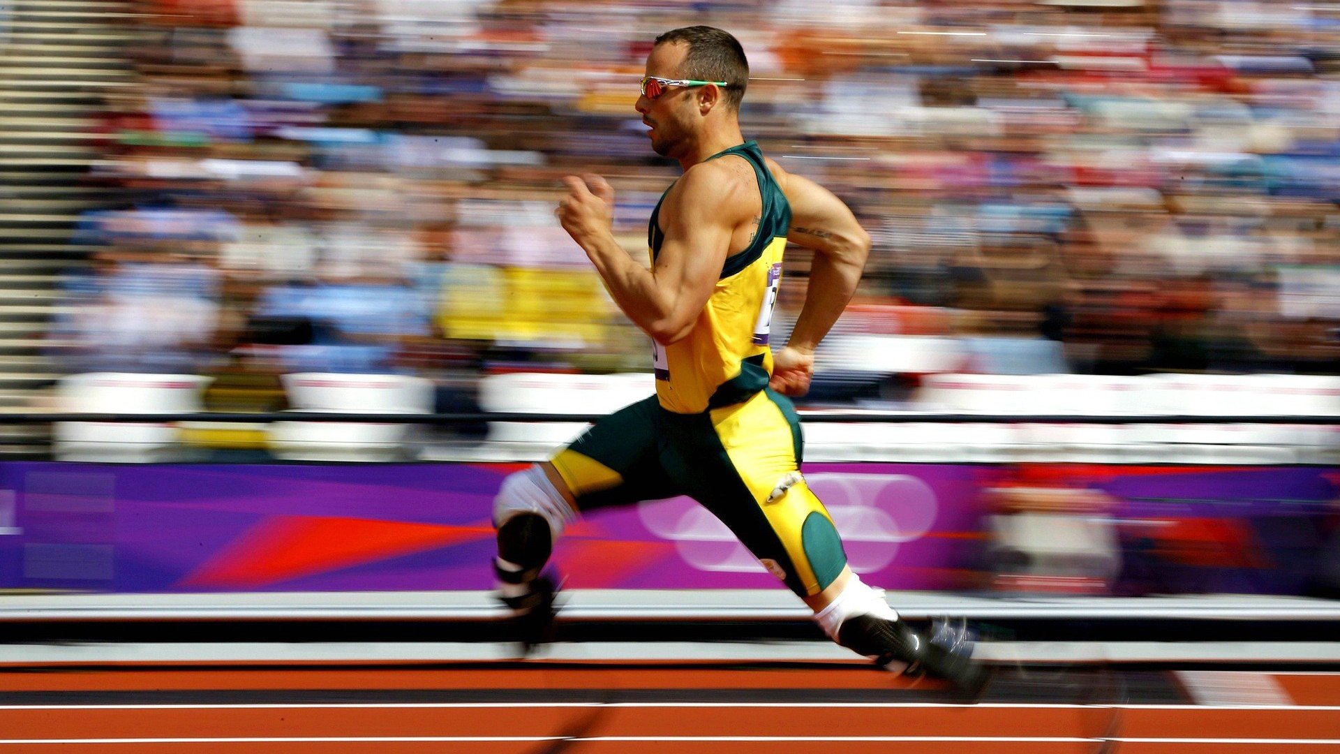 2024年德国队的表现：每一分都为胜利而拼搏，一四年德国队阵容