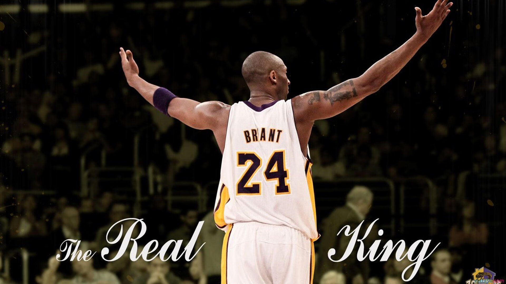 卢卡斯·梅尔滕斯：德国自由泳的坚实支柱