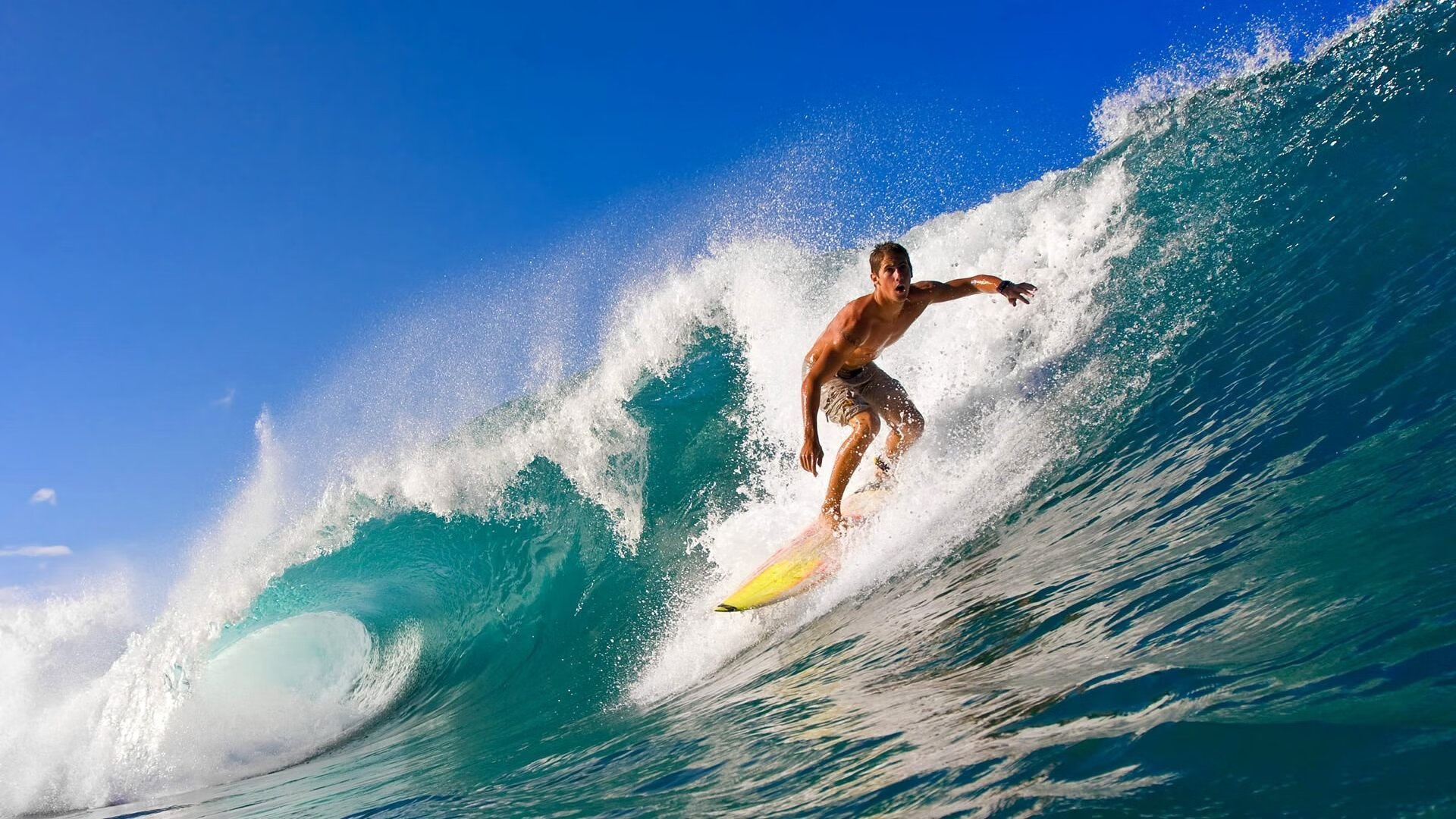 德甲新星崛起：未来巨星在此起飞！，德甲潜力新星